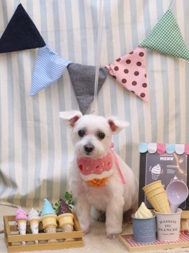 20250525ヒメちゃん